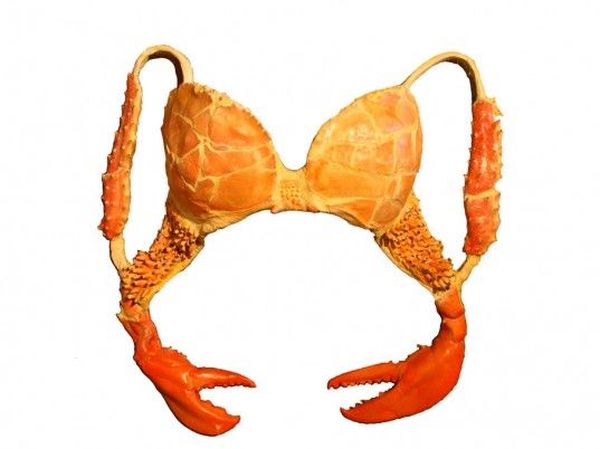 recycled-lobster-shell-lingerie