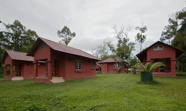 Travellers Home - Ecofriend