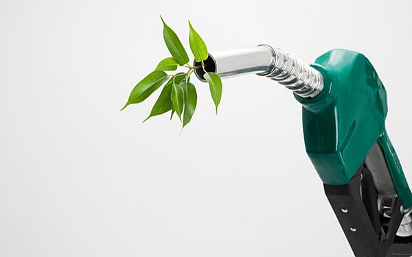 Leaves growing out of a petrol nozzle