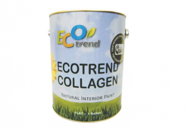 Eco-Trend-Collagen-Natural-Interior-Paint-Remodelista