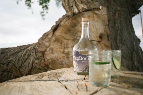 caprock-gin