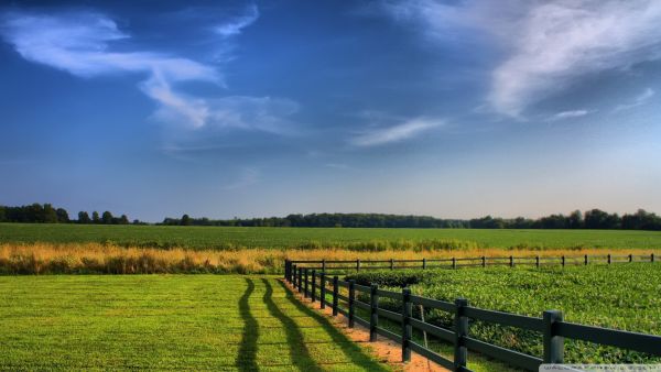 farm-fence-hd-desktop-wallpaper-widescreen-high-definition-abstract-nature-photo-fence-hd-wallpaper