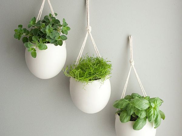 herb_pots