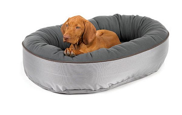 Bowsers-Orbit-Donut-Dog-Bed