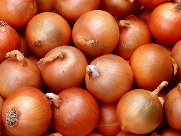 Onions