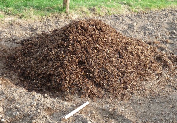 animal manure for enriching the soil