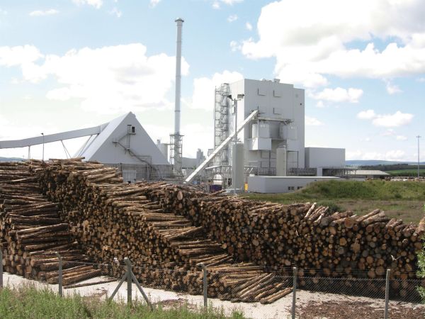 Biomass fired power plant