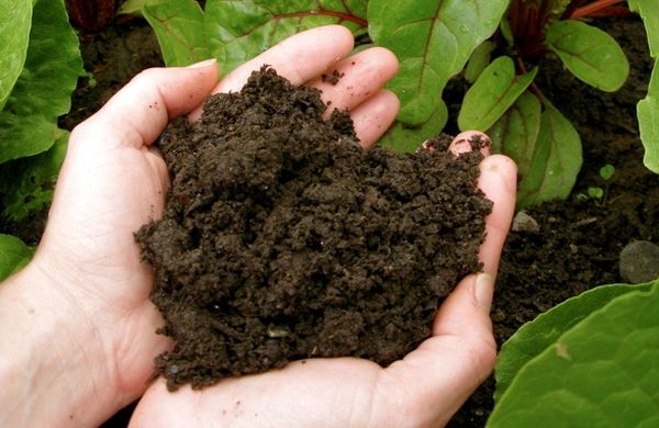 Composting garden