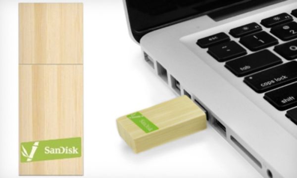 SanDisk Bamboo Flash Drive