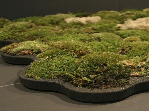 Living bath moss mat