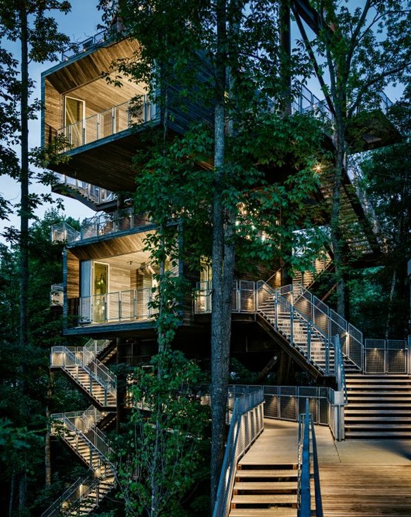 boy-scouts-sustainable-tree-house