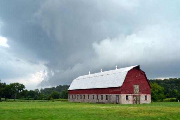 ideas for making your barn eco-friendly _1