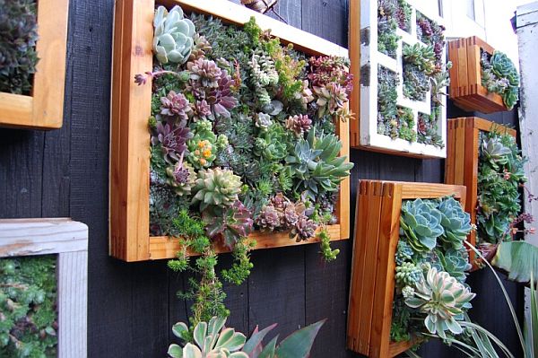 DIY Vertical Succulent Garden