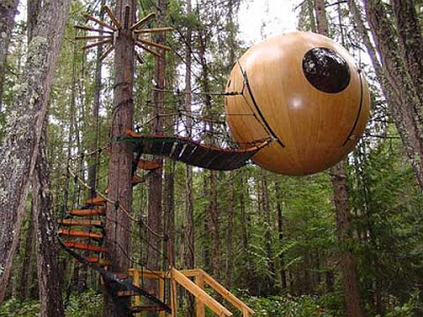 Featured image of post Ewok Treehouse Find the latest tree house educati treehouse ns stock quote history news and other vital information to help you with your stock trading and investing