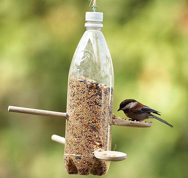 Soda Bottle Bird Feeder