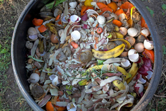 Compost your food scraps