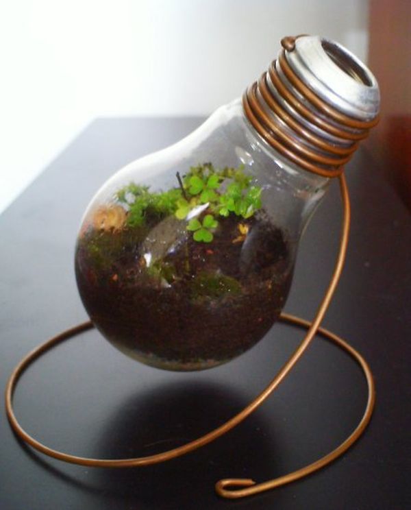 Light Bulb Planter