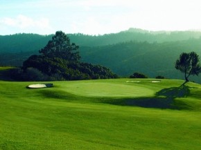 course burlingame