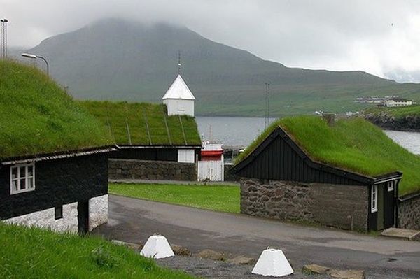 GREEN ROOF (4)