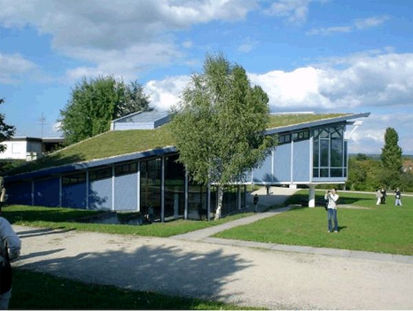 GREEN ROOF (7)