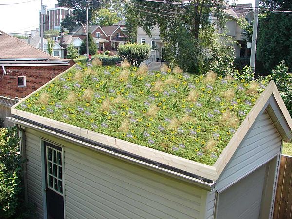 Green Roofs