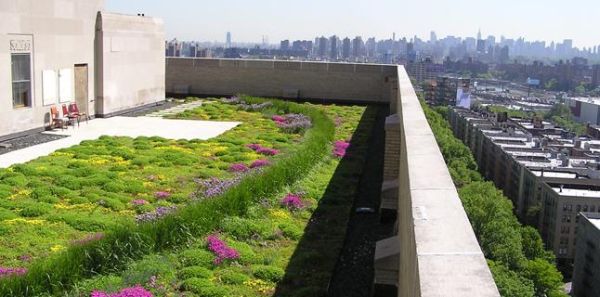 Green roofs 2