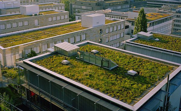Green roofs 3