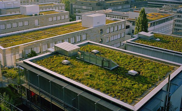 france green roofs