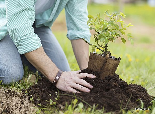 Plant a lot of trees