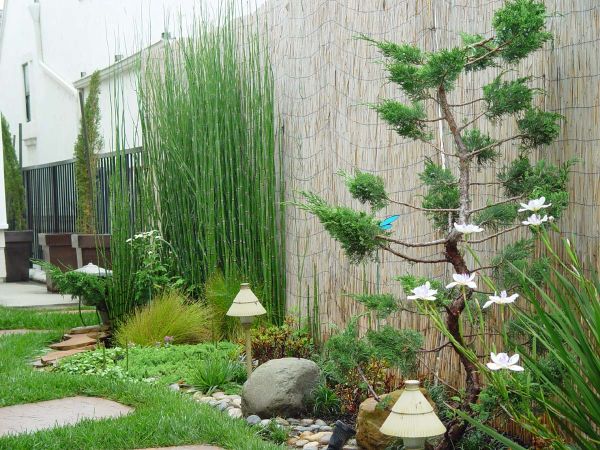 Zen garden  (5)