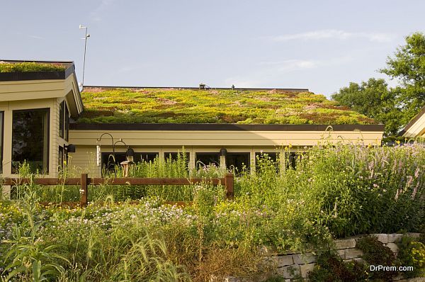 Green roof