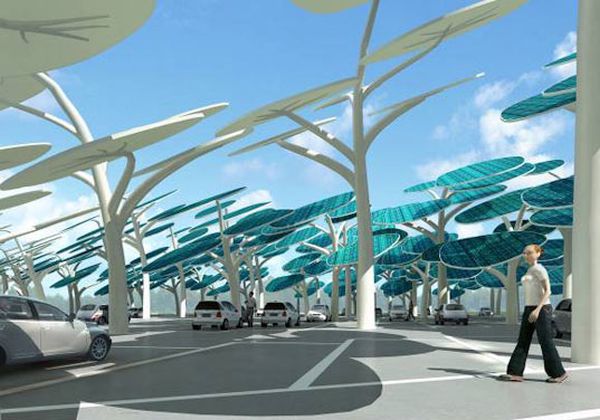 A forest of solar trees