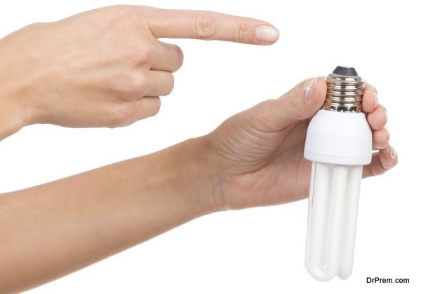 Energy Efficient Light Bulbs