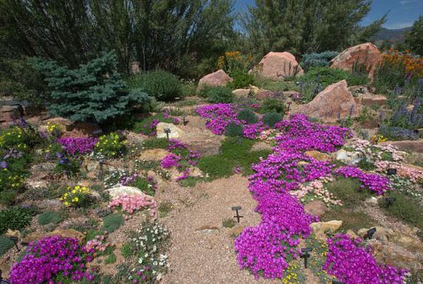 Xeriscaping