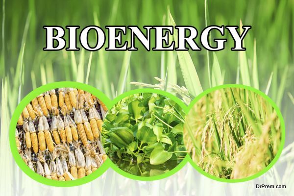 Bioenergy wording for background