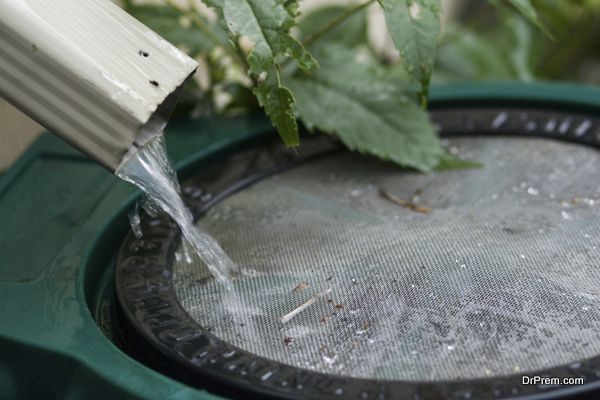 Rain flowing into barrel from down spout, selective focus