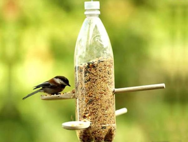 bird-feeders