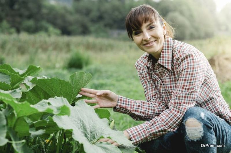 organic farming 