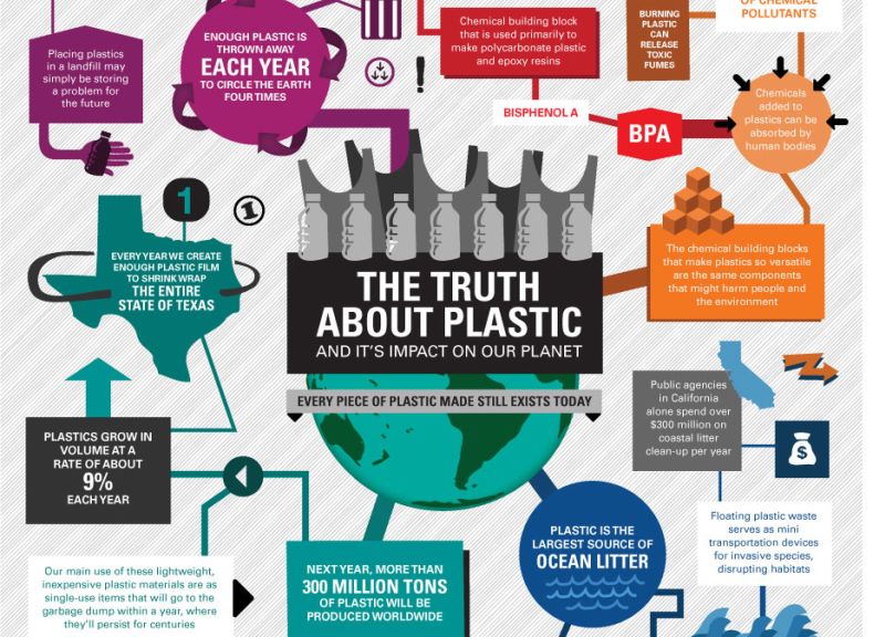 Infographic Environmental toll of plastic revealed...