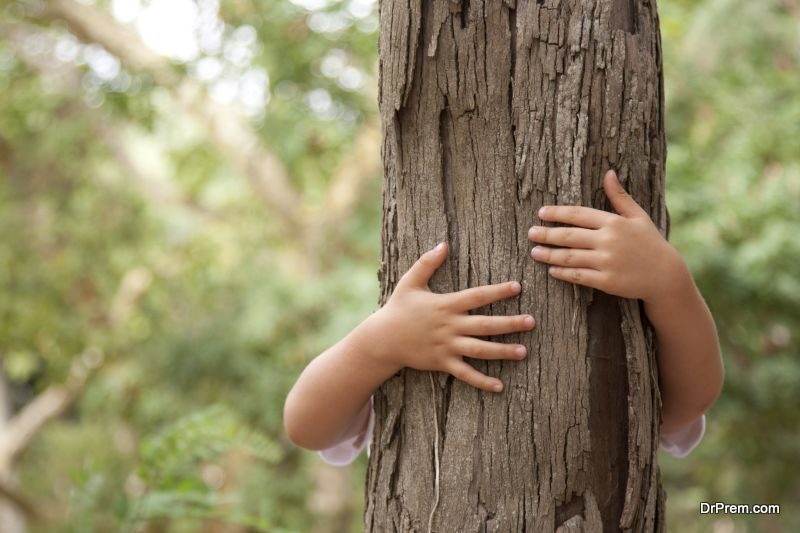 Huging a tree