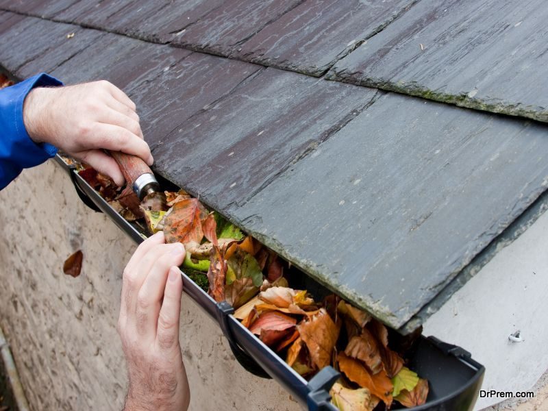 Clogged gutters