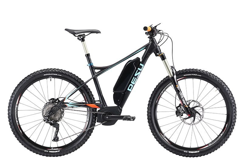 Pesu electric bike store price