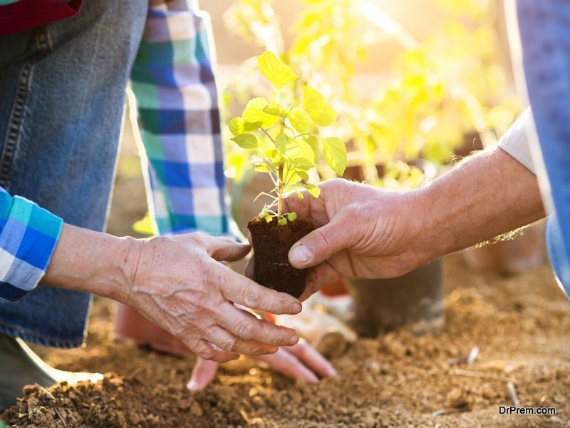 traditional farming 