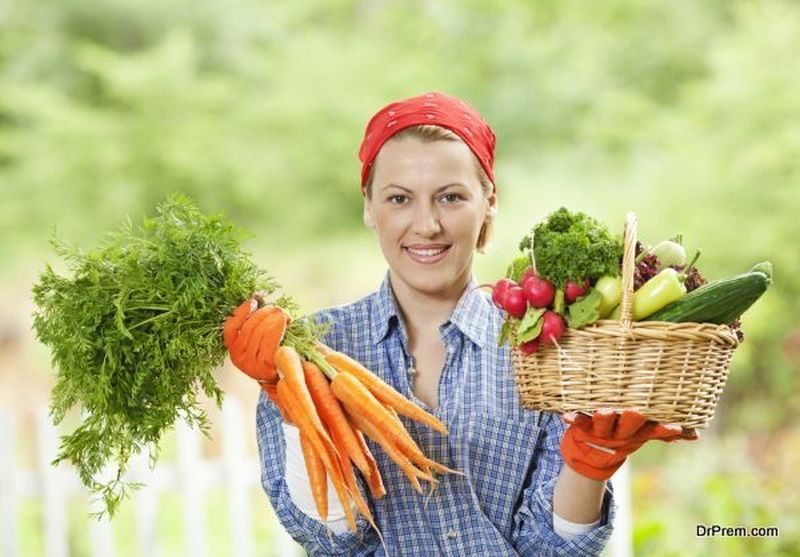  vegetable garden