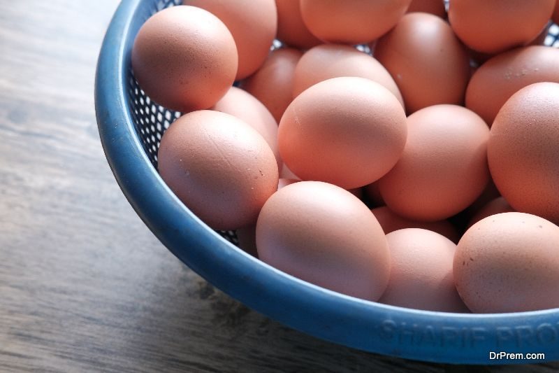 Germ-Free-Method-of-Hatching-Eggs