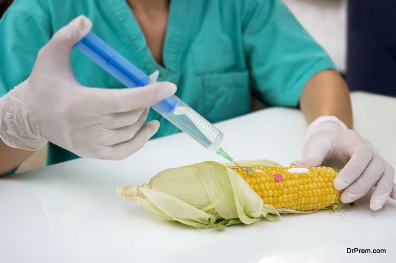 genetically-modified-food