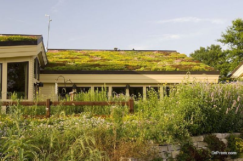 Eco-Luxury Apartments in Israel: Sustainable Living for the Elite