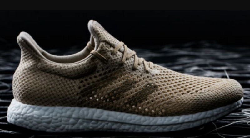 Amazing eco friendly shoes for green loving people - Ecofriend