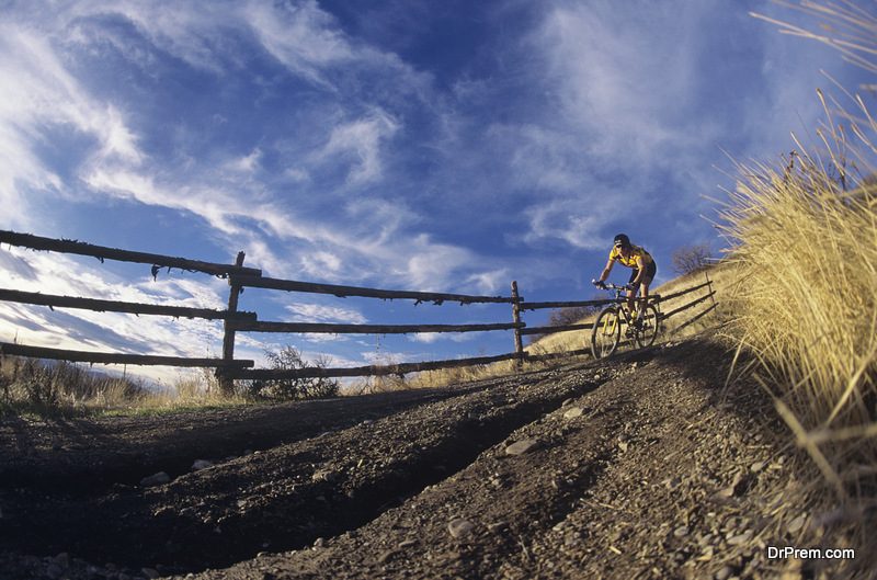 mountain biking