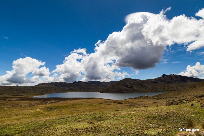 Yacuri-National-Park.